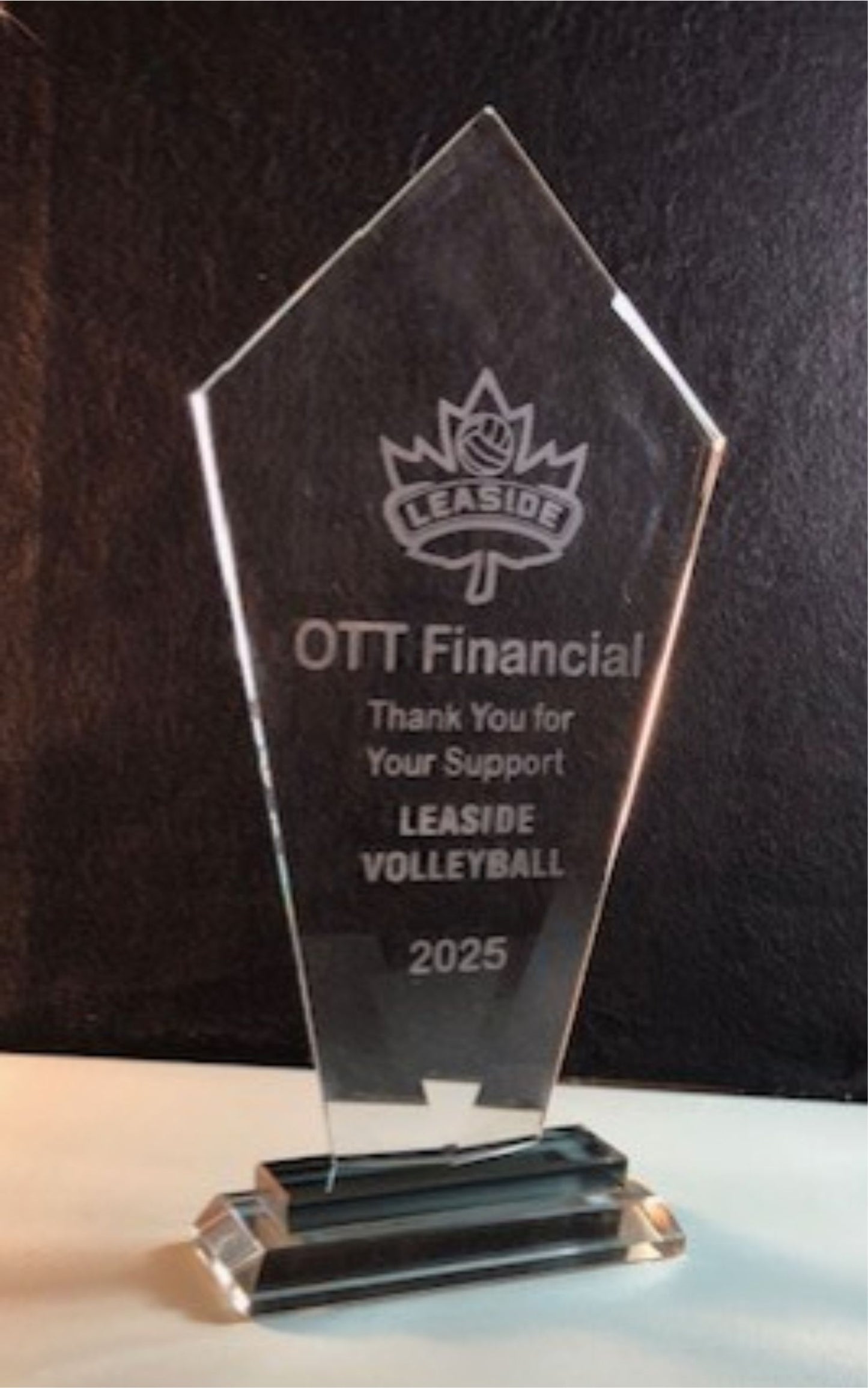 Glass Award 11" Tall Personalized Hand Etched Recognition Gift Sophisticated stylish Achievement award
