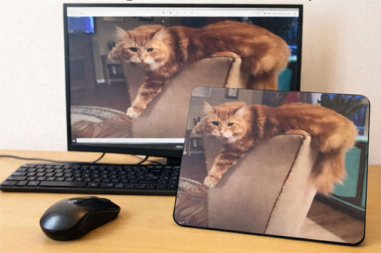 Take Your Cat to work - Personal Cat Mouse Pad – Custom Photo Desk Accessory for Cat Lovers