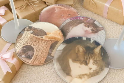Personalized Pet Photo Coaster Set – Custom Cat Picture Coasters, Pet Memorial Keepsake, Cat Lover Gift (Set of 4)