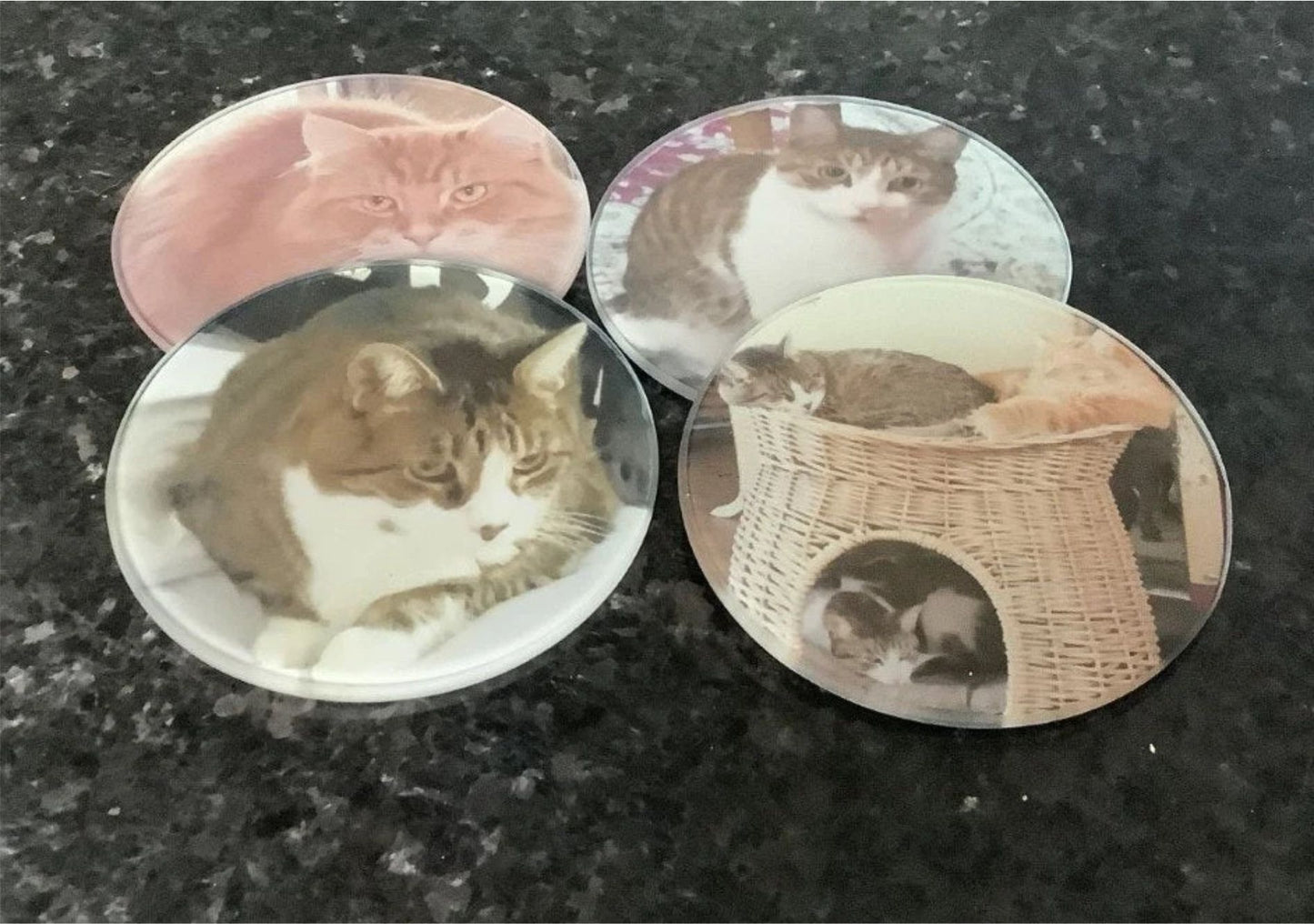 Personalized Pet Photo Coaster Set – Custom Cat Picture Coasters, Pet Memorial Keepsake, Cat Lover Gift (Set of 4)