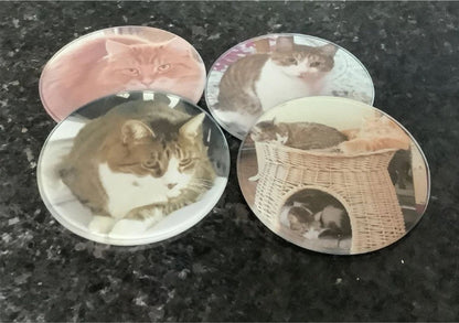 Personalized Pet Photo Coaster Set – Custom Cat Picture Coasters, Pet Memorial Keepsake, Cat Lover Gift (Set of 4)